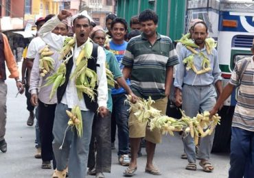 सरकारसंग बांदर नियन्त्रण गर्न माग गर्दै प्रदर्शन, चरणबद्ध आन्दोलनमा उत्रने चेतावनी