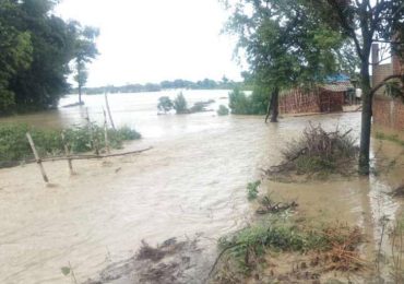 बाढीले सप्तरीका  १ हजार ५ सयभन्दा बढी घर डुबानमा