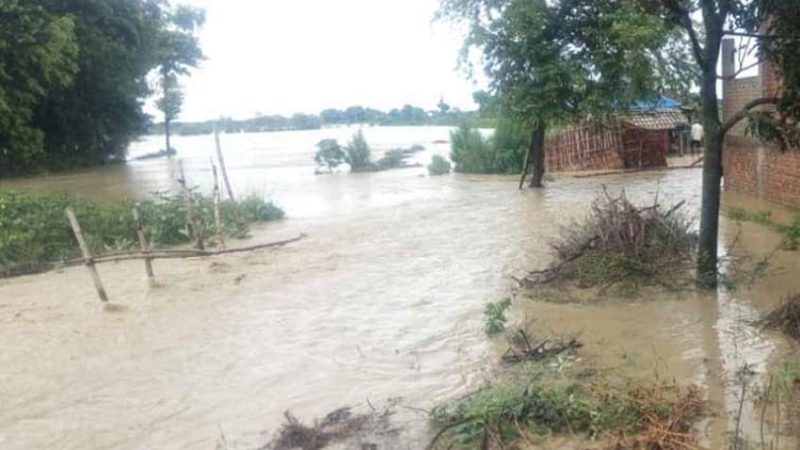 बाढीले सप्तरीका  १ हजार ५ सयभन्दा बढी घर डुबानमा
