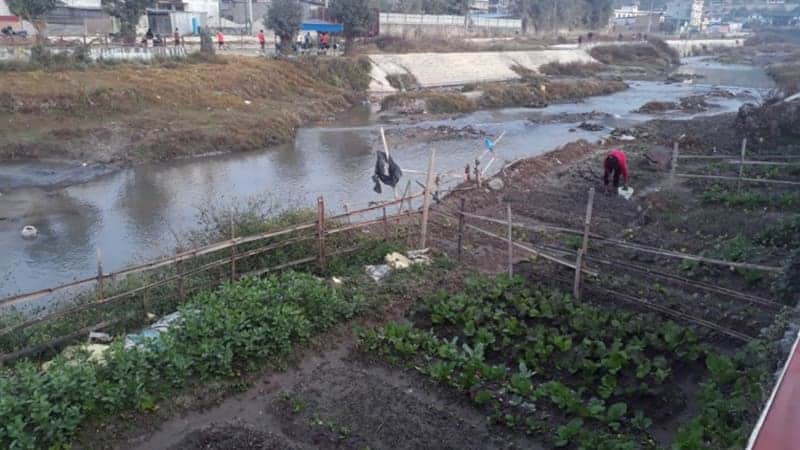 वाग्मती सफाइमा विद्यालय र सामाजिक संस्था सहभागी गराइने