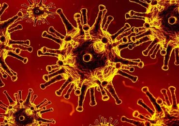 1,246 new cases of coronavirus recorded of late