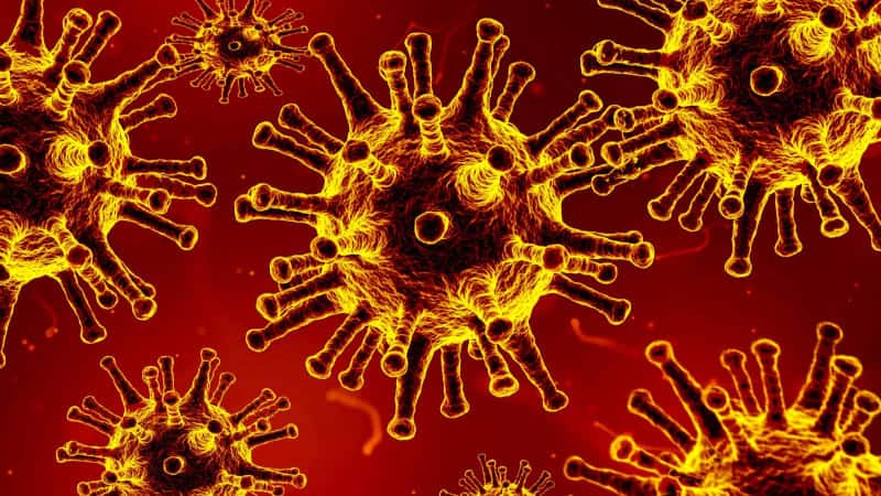 17 more individuals test positive for coronavirus in Gandaki state